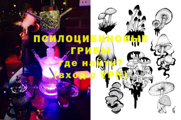 спайс Беломорск