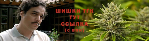 спайс Беломорск