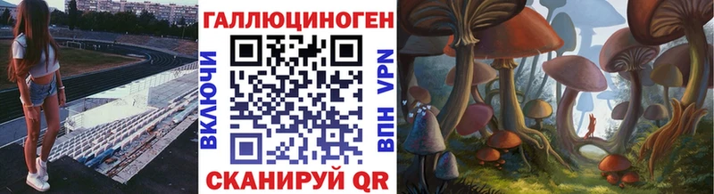 купить наркоту  Щучье  hydra зеркало  Псилоцибиновые грибы мицелий 